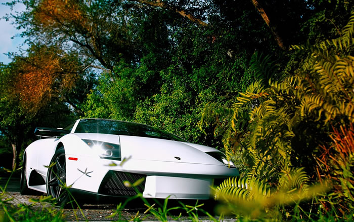 ��λ�_(k��i)�P(gu��n)